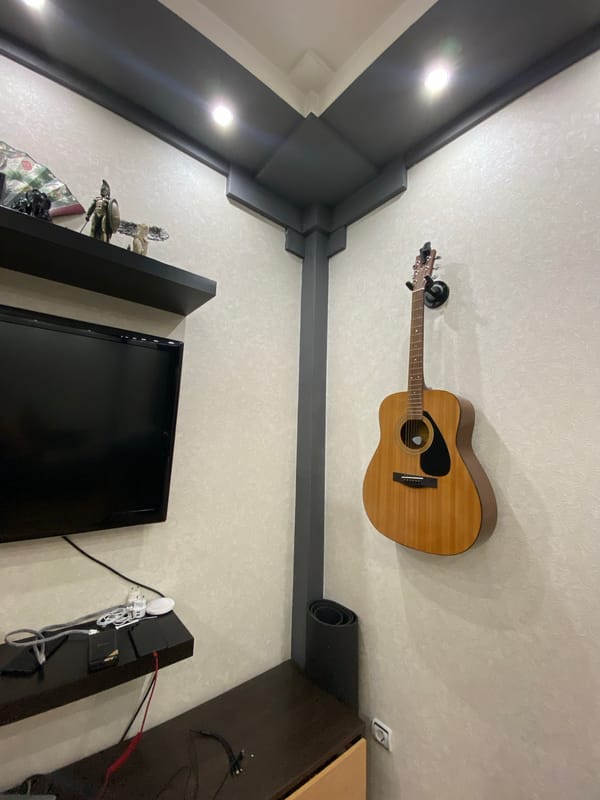 Quiet afternoon moments in Tuymazy apartment with dog, guitar