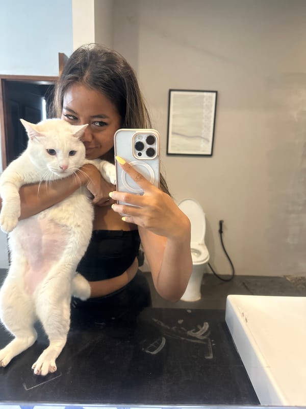 Lazy afternoon at a North Kuta villa, cat selfies included