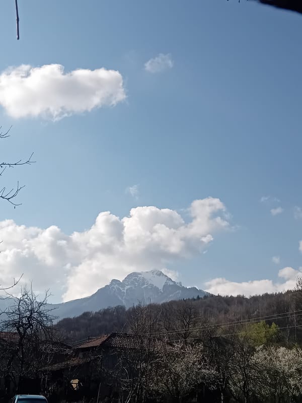 Spring garden scenes documented over 16 minutes near mountains