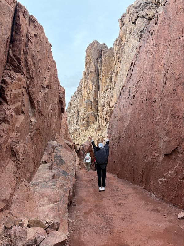 Early morning Mount Sinai pilgrimage captured by tourists