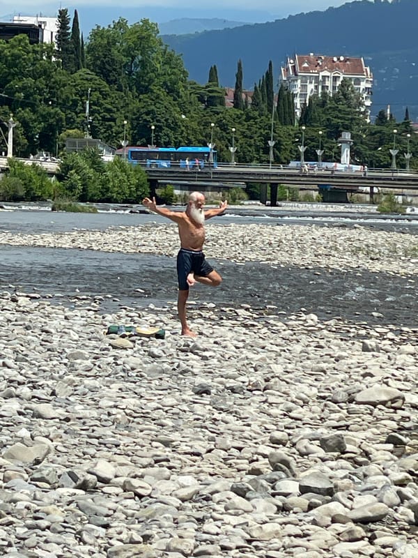 Summer morning on the Mzimta River banks in Sochi