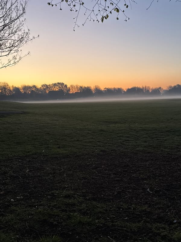 London field photographed at dawn with fog and colorful sky