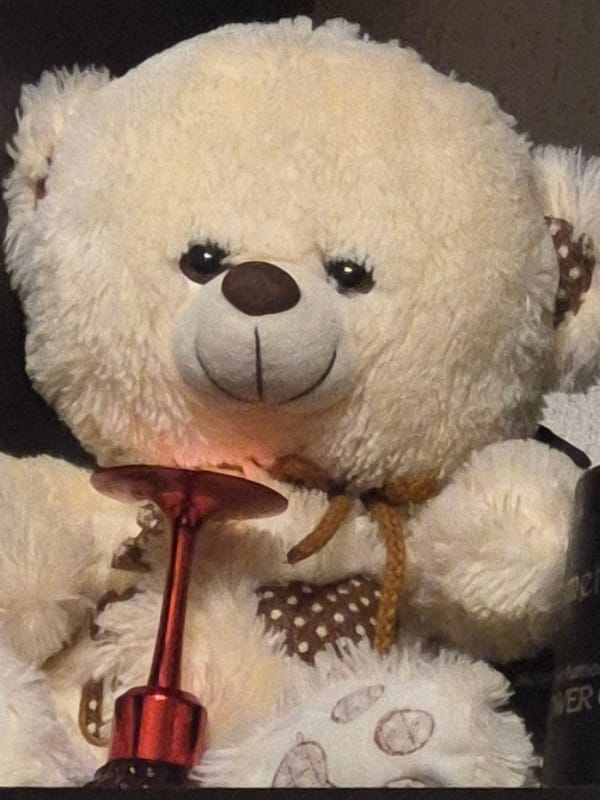 Close-up of a cream teddy bear with polka-dot ribbon
