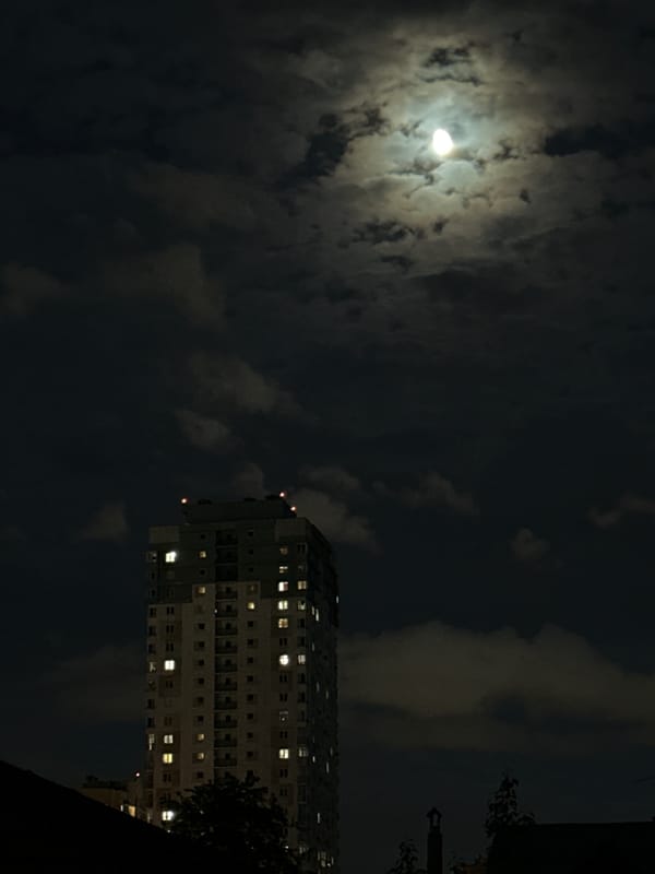 Evening scenes captured across Minsk: moonlit buildings, cars, resting dog