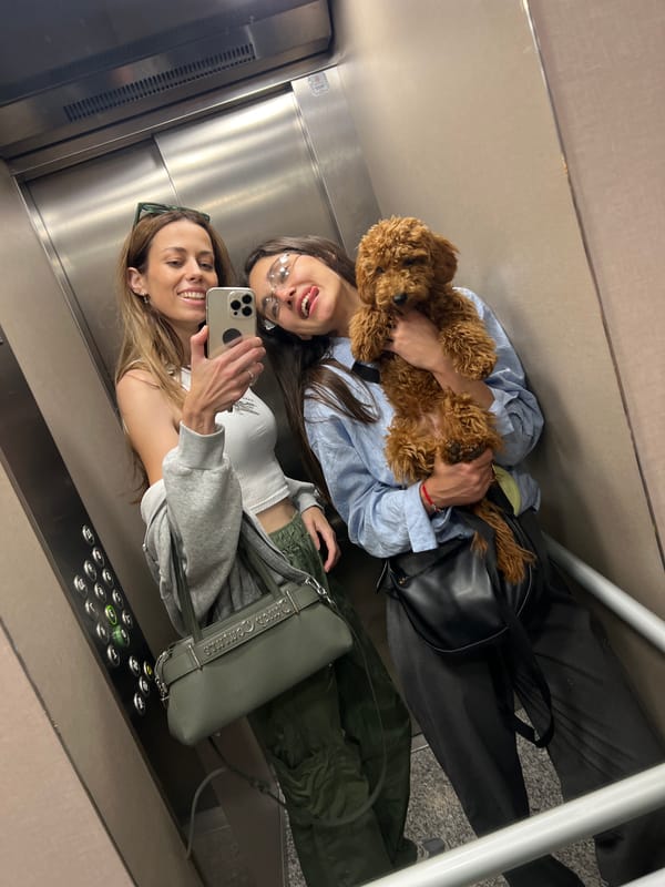 Women photograph with poodle in Montenegro elevator