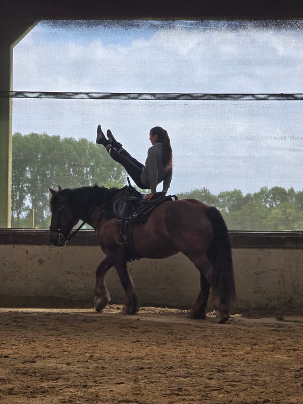 Equestrian performs trick riding in Belgian indoor arena