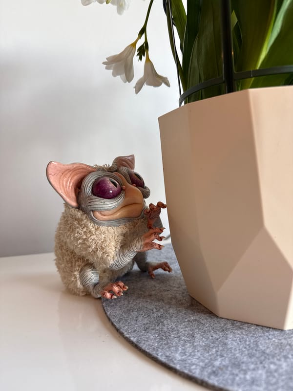 Domestic moments captured with cat, decorations in Montenegro home