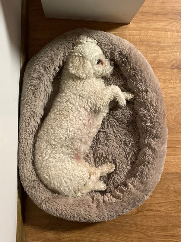 Quiet Sunday evening moments documented across Yekaterinburg