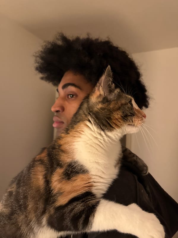 Evening hangout with friends and pets in Paris apartment