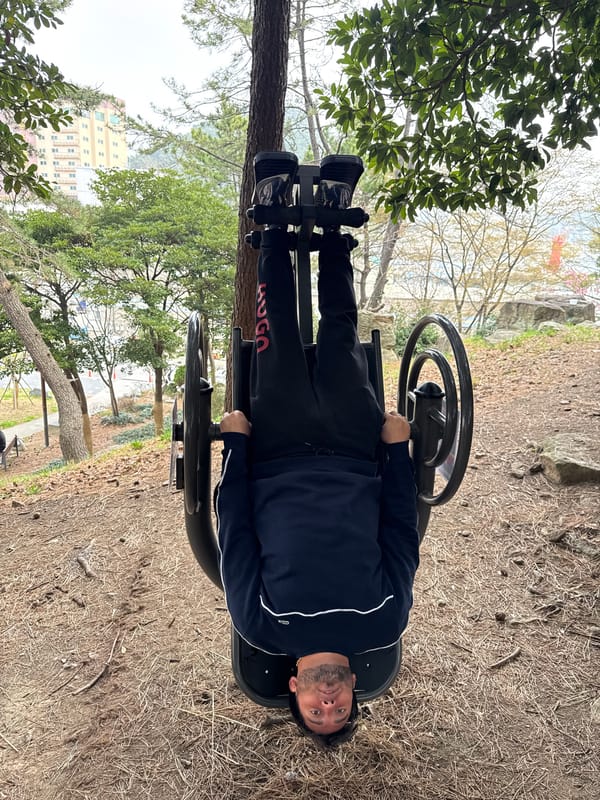 Late-night sightseeing and park visits across Busan attractions