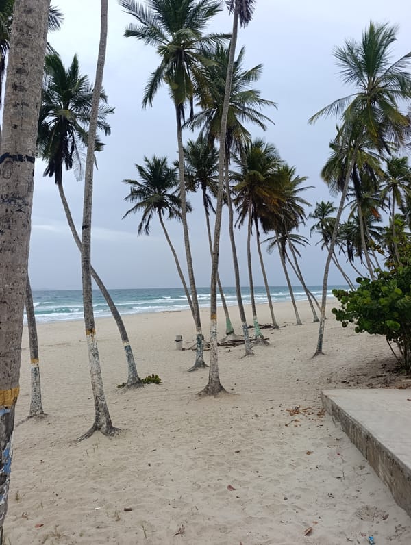 Tropical resort scenes captured during overcast evening