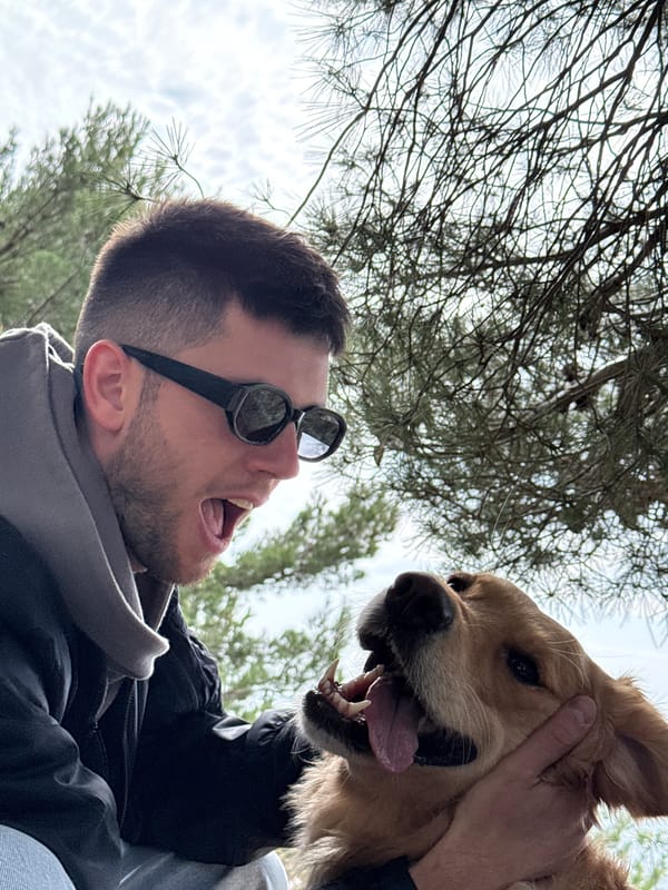 Coastal dog walk and photo session in Montenegro