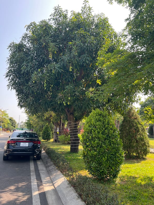Peaceful scenes captured in Trang Vietnam heritage area