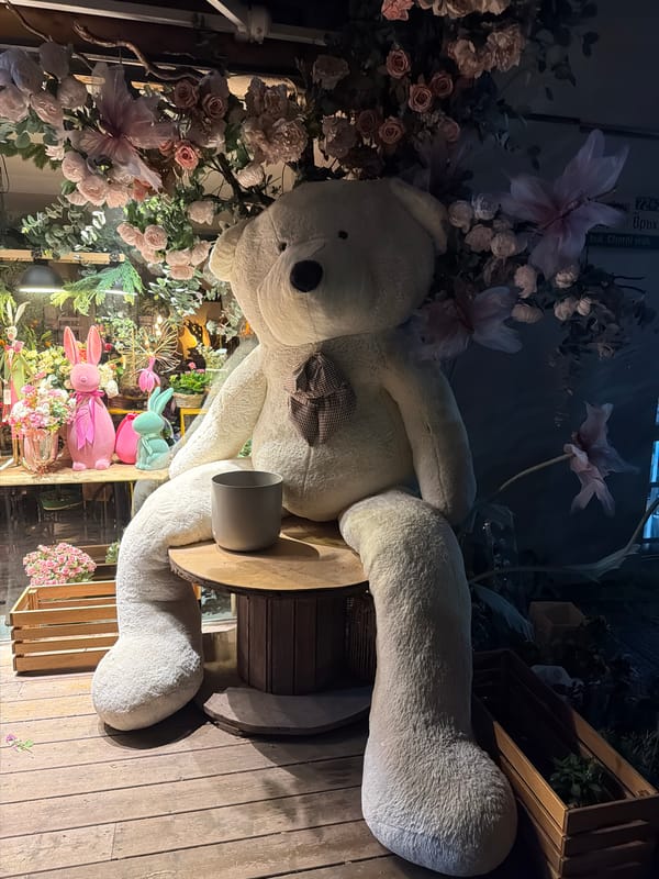 Teddy bear display spotted in Sofia shop