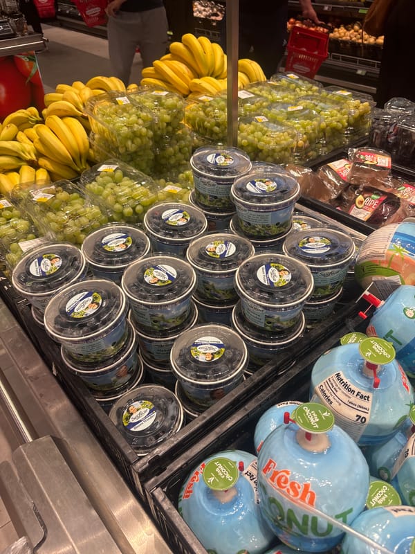 Shopper documents fresh produce displays at Plovdiv grocery store