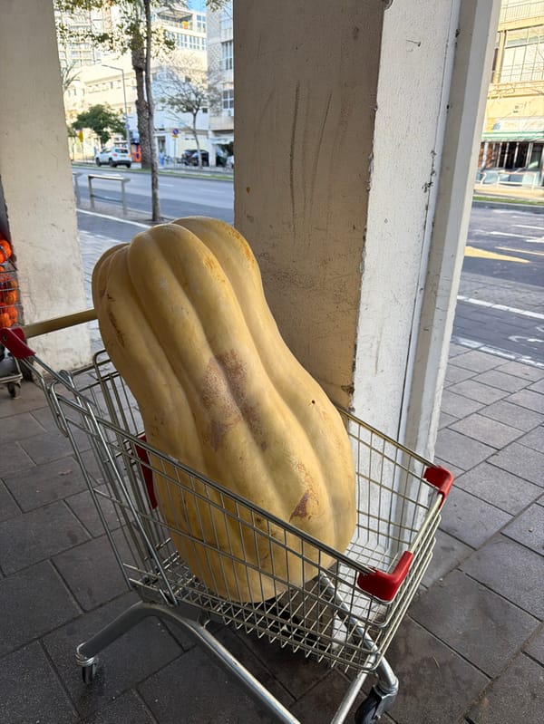 Yellow squash spotted in shopping cart in Tel Aviv