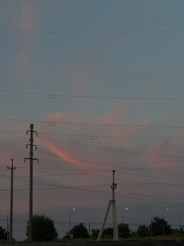 Power lines and utility poles against a fading twilight sky