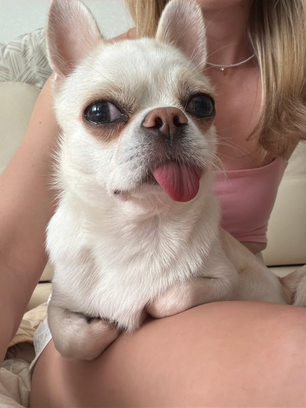 Woman documents quiet afternoon with pets and belongings