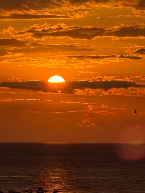 Black Sea sunset paints the Batumi sky orange and yellow