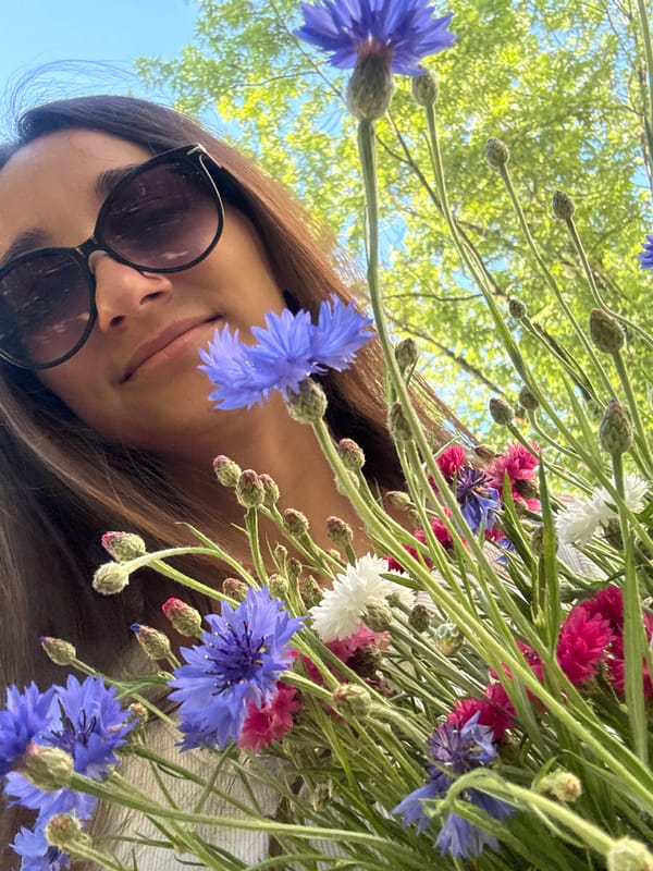 Summer afternoon in Kyiv with wildflowers and blue skies