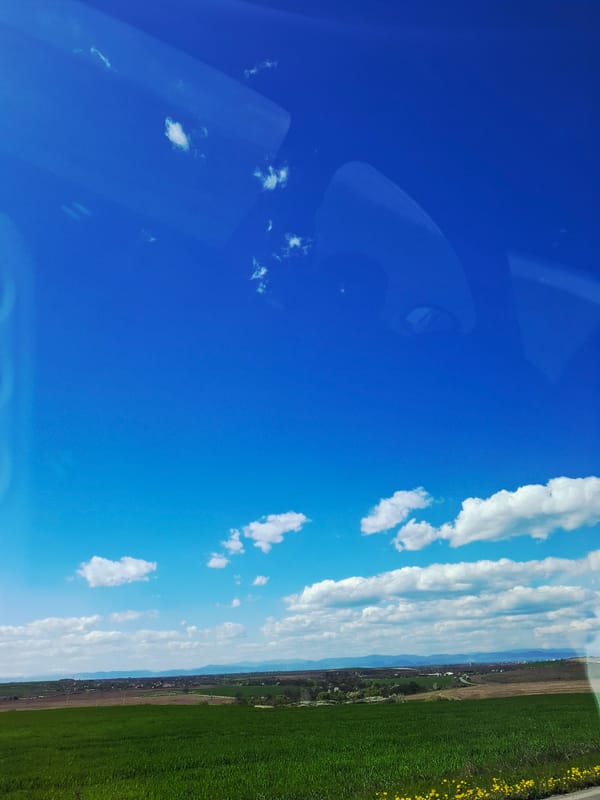 Roadside spring scene documented with leafless trees, blue skies