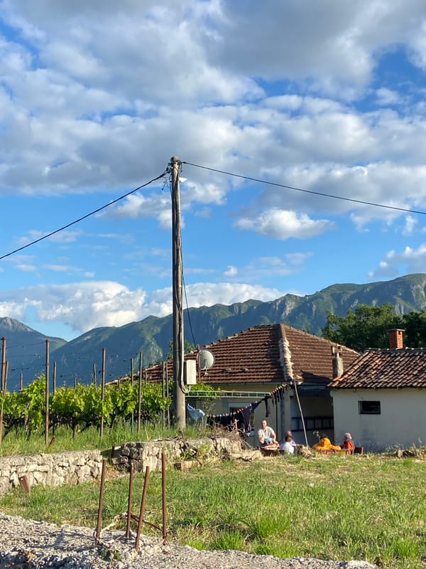 Rural Montenegro scenes documented during afternoon walk in Sotonići