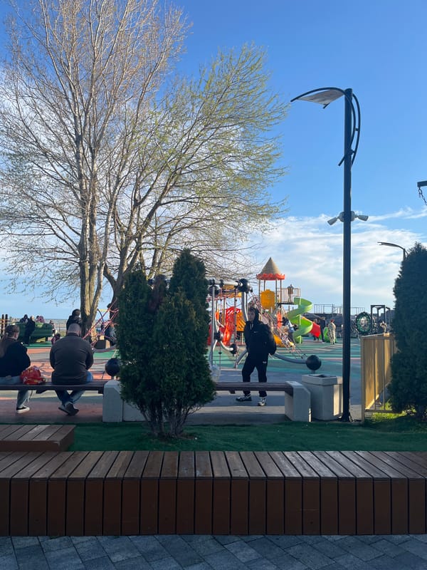 Afternoon life documented across Sochi's parks, restaurants, waterfront