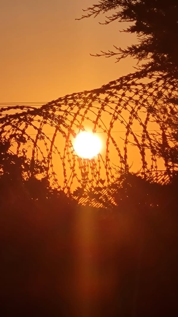 Celestial display observed over Lachish Regional Council, Israel