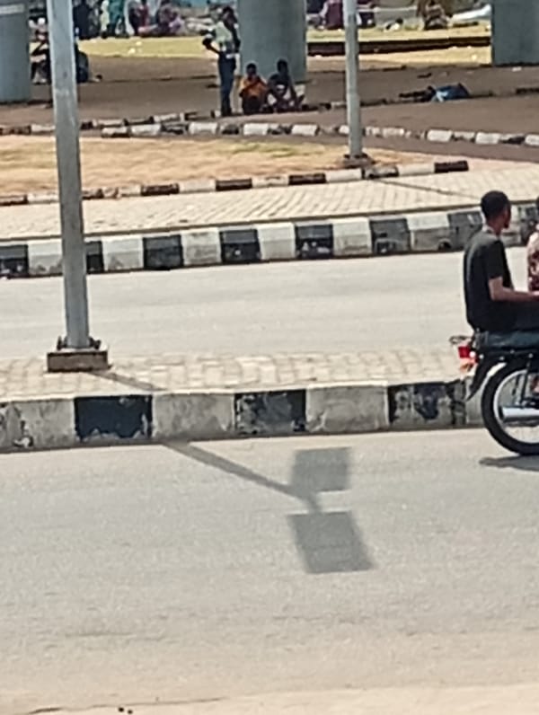 Ordinary city street activity observed across 40-minute timespan