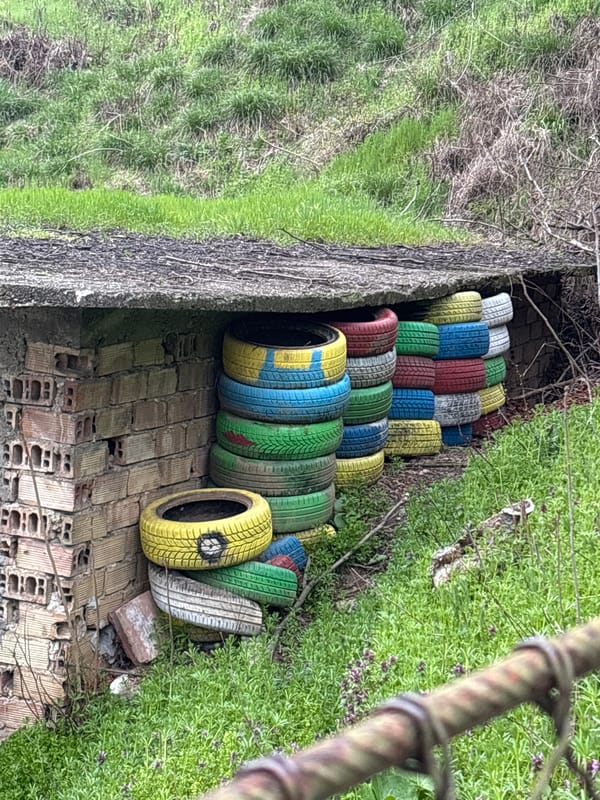 Urban decay and makeshift art documented in Veliko Tarnovo