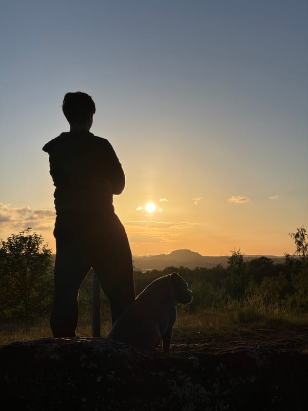 Person and dog watch sunset over Luxembourg city