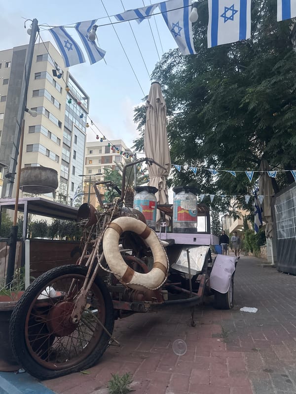 Evening street scenes with illuminated trees documented in Ramat Gan