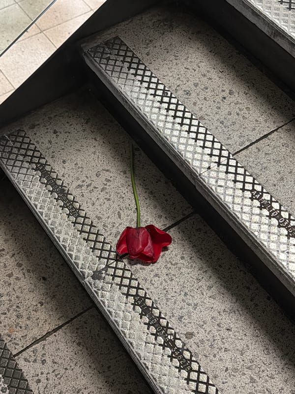 Red flower found on London staircase