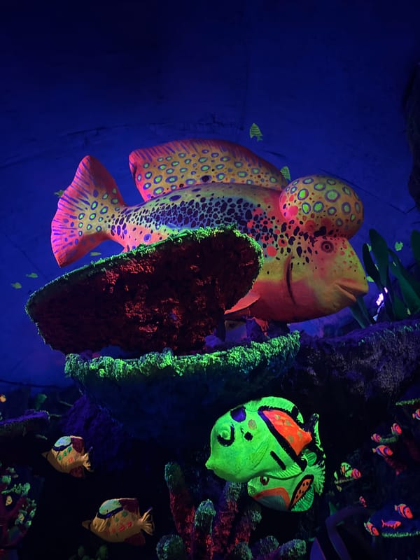 Visitors explore glowing underwater fantasy exhibit in Vietnam