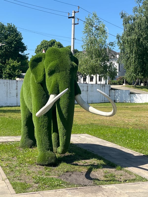 Morning scenes of fishing and parks in Goryachiy Klyuch, Russia