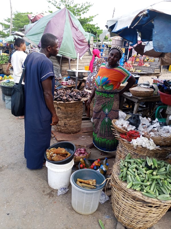 Daily market life documented in Zango-ndaji, Nigeria