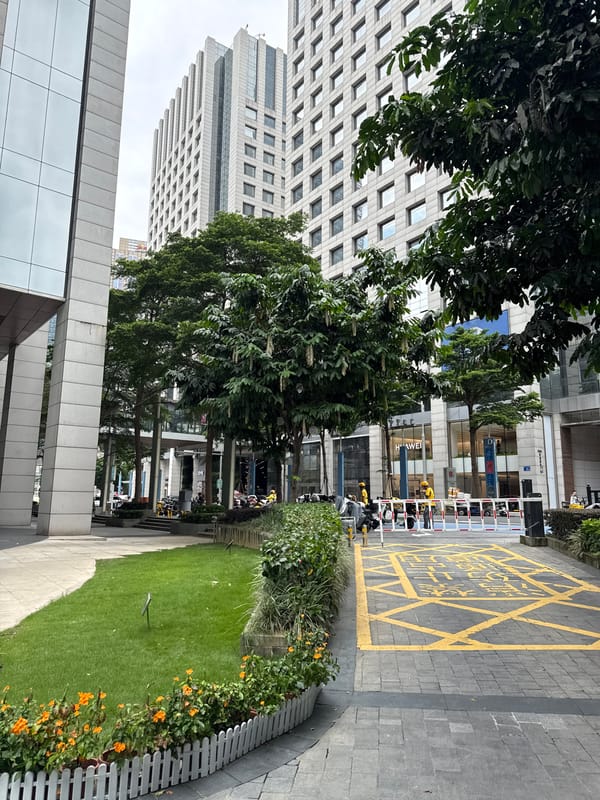 Early Morning Walk Through Tianhe District Captured by Single Observer