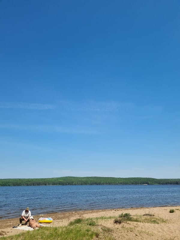 Clear morning sky observed over wooded shoreline near Chaikovsky