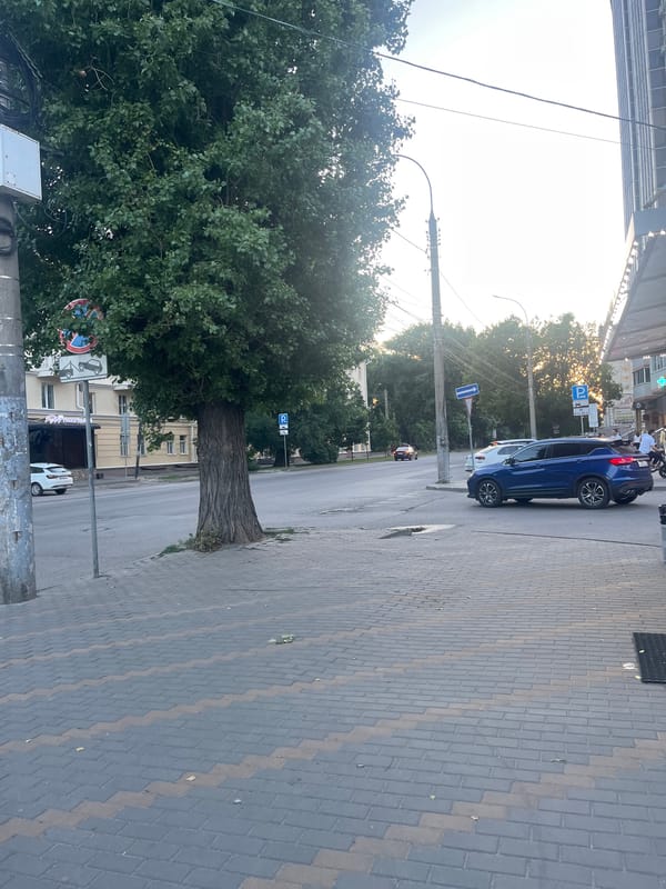 Afternoon stroll near School No. 45 in Voronezh, toy pigeon in tow