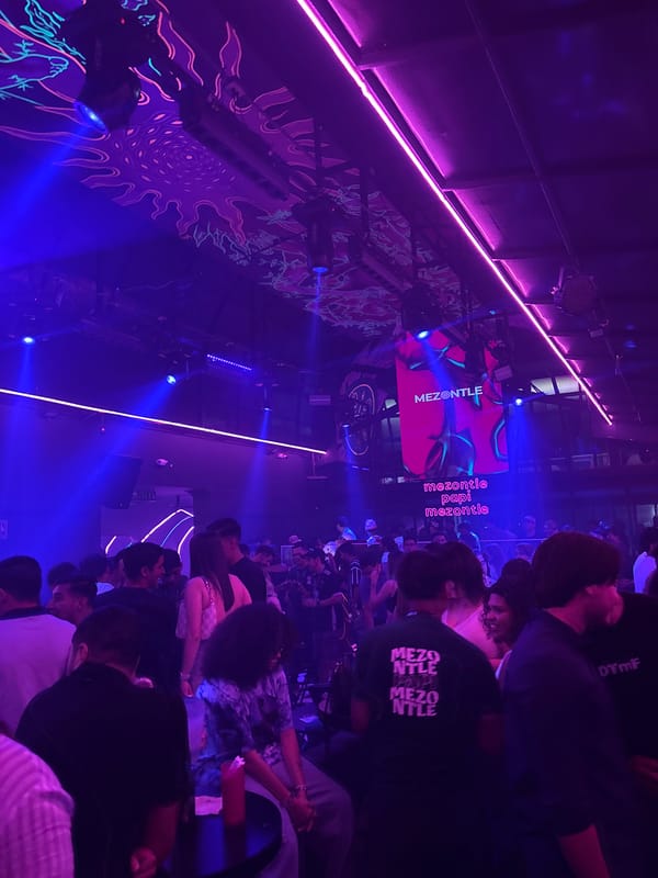 Entertainment event documented at Veracruz venue with neon lighting