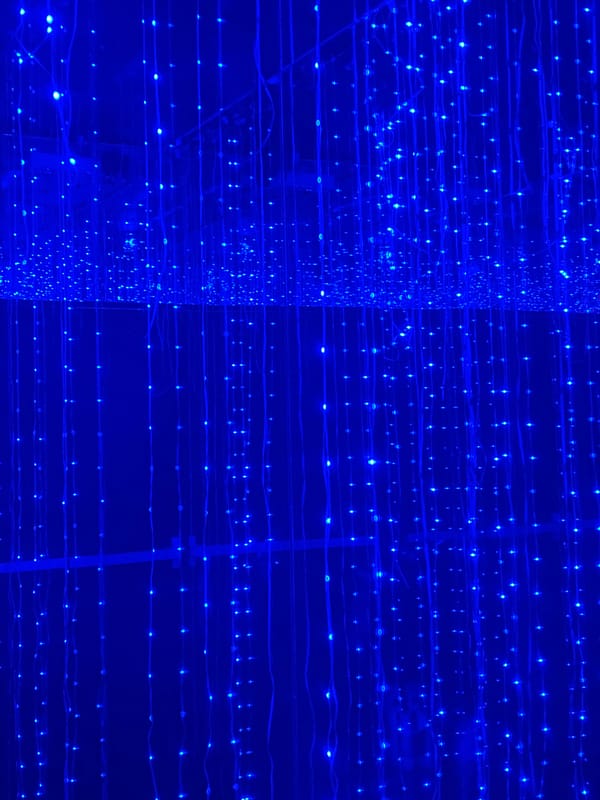 Bar interior lighting documented in San Bernardino Tlaxcalancingo