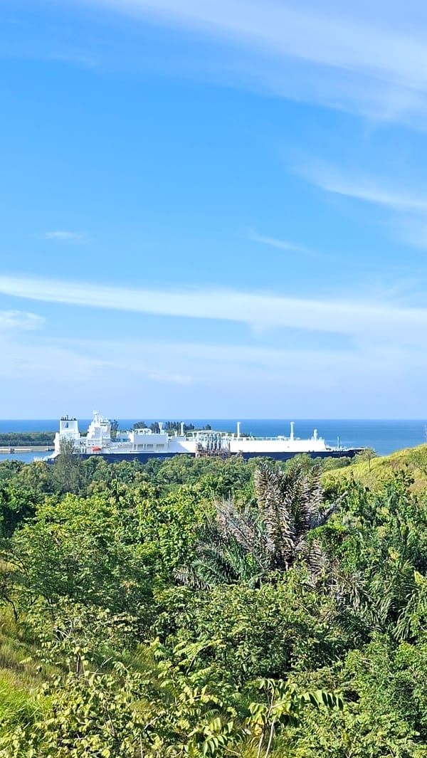 Hilltop berry picking with an LNG tanker anchored offshore