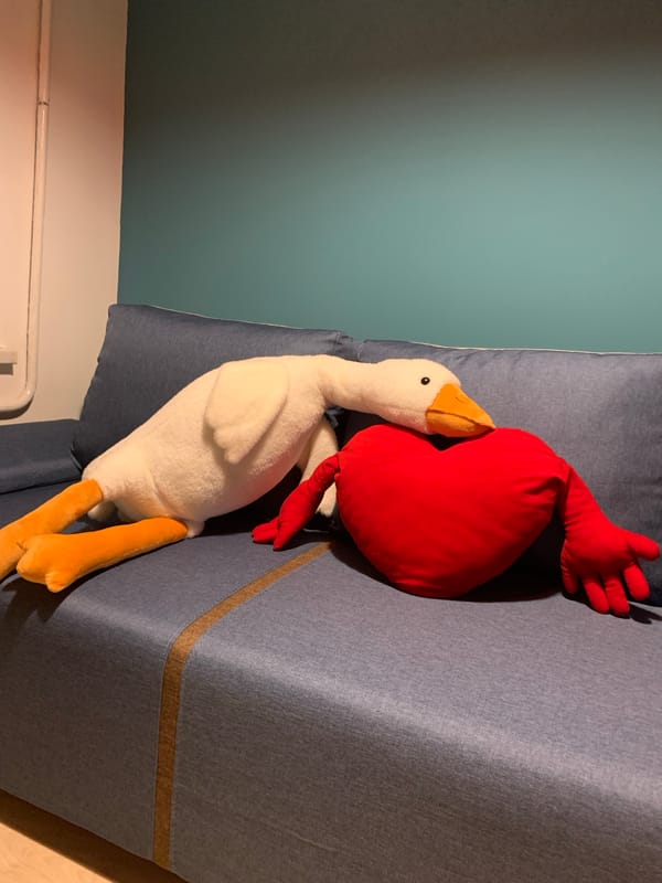 Plush toy arrangements featuring white goose in Kapyĺ home