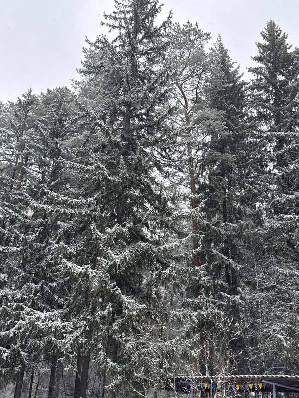 Winter scene with footprints documented in snowy Perm