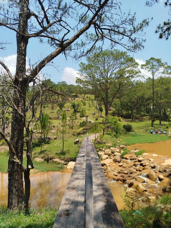 Wooden bridge over brown water documented in Vietnamese forest