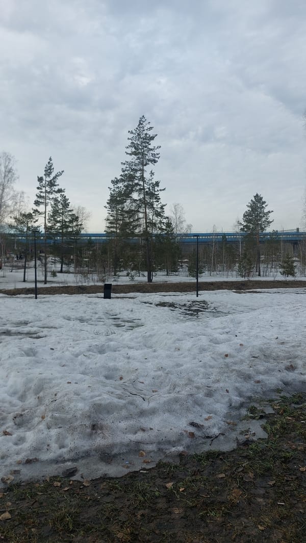Young person enjoys winter park visit in Novosibirsk