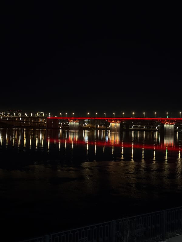 Corgi dog and bridge scenes captured in Krasnoyarsk