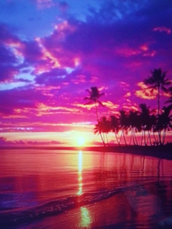 Witness captures beach sunset, residential streets in nine-minute span