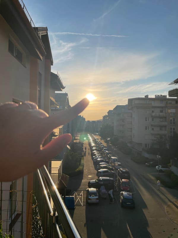 Golden hour from the balcony, with a cat nearby