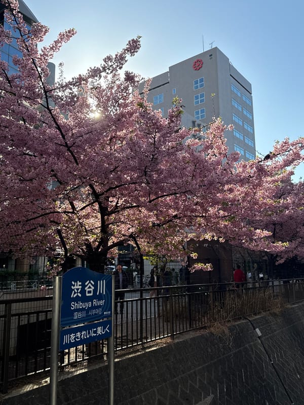 Shibuya River sign spotted in Tokyo district